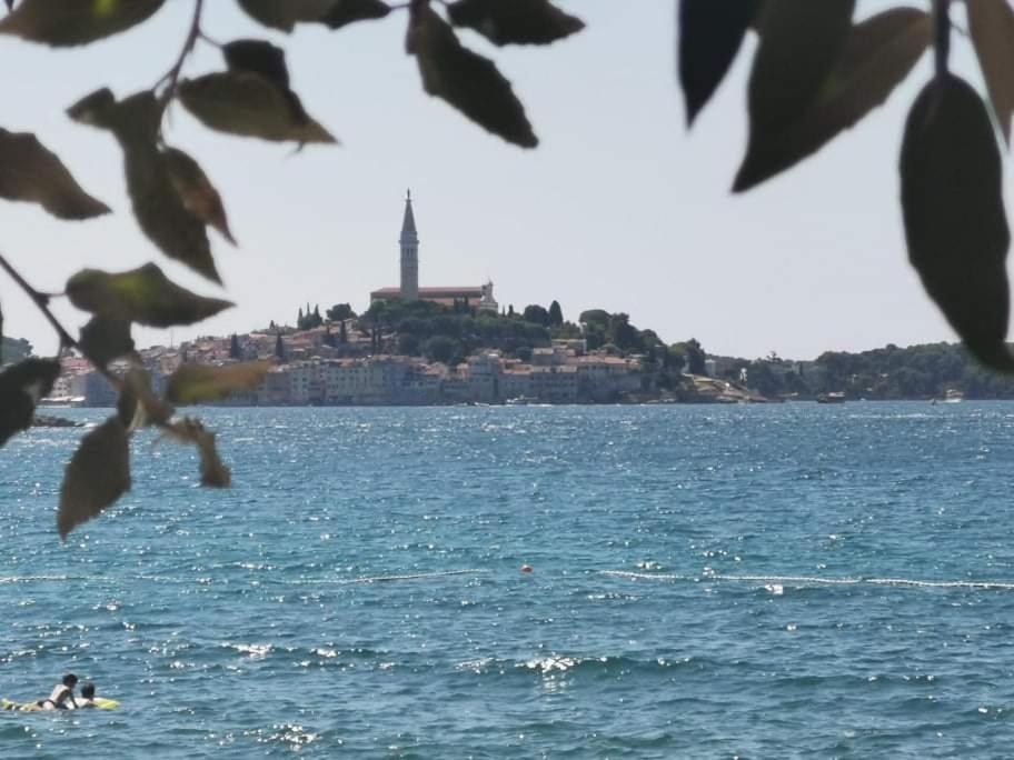 Studio Apartment Rosemary Rovinj Exteriér fotografie