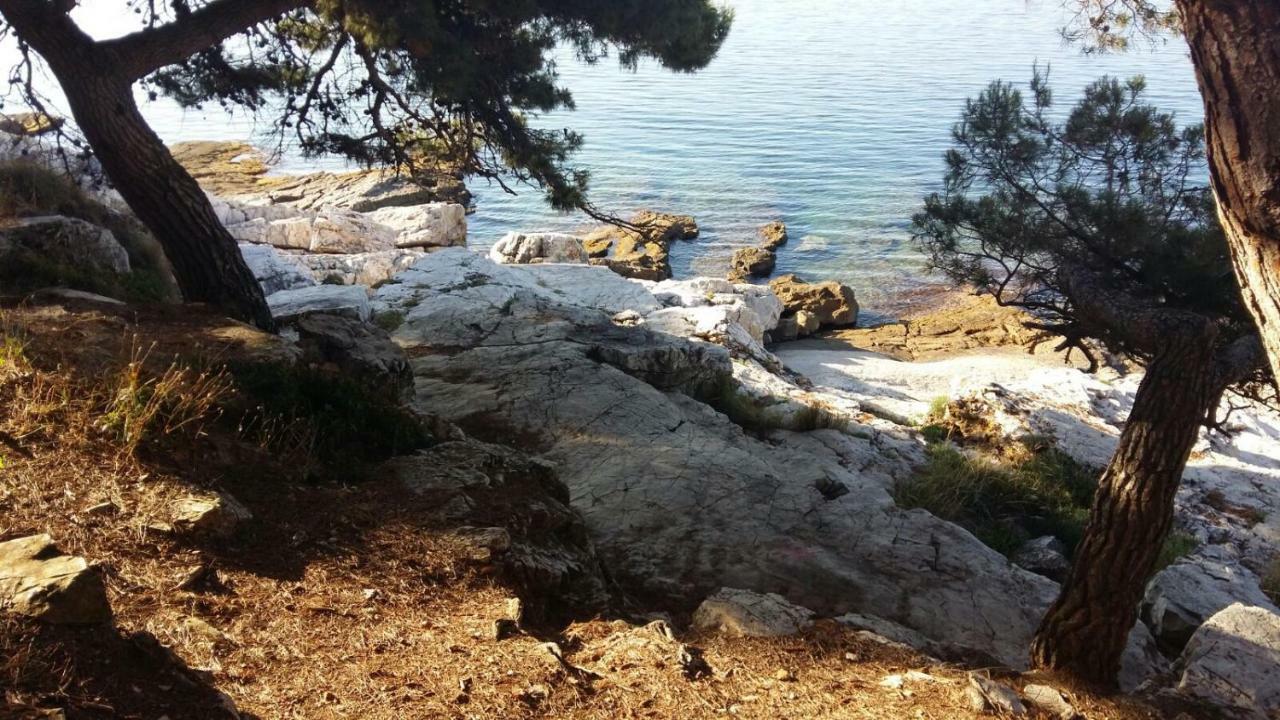 Studio Apartment Rosemary Rovinj Exteriér fotografie