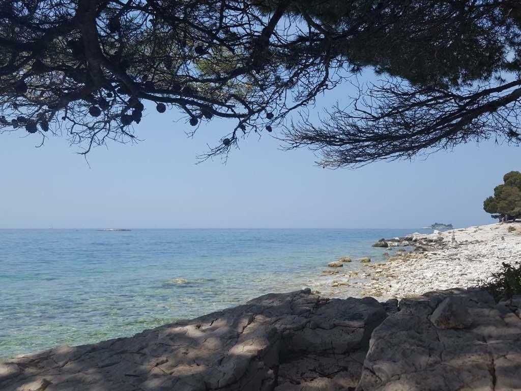 Studio Apartment Rosemary Rovinj Exteriér fotografie